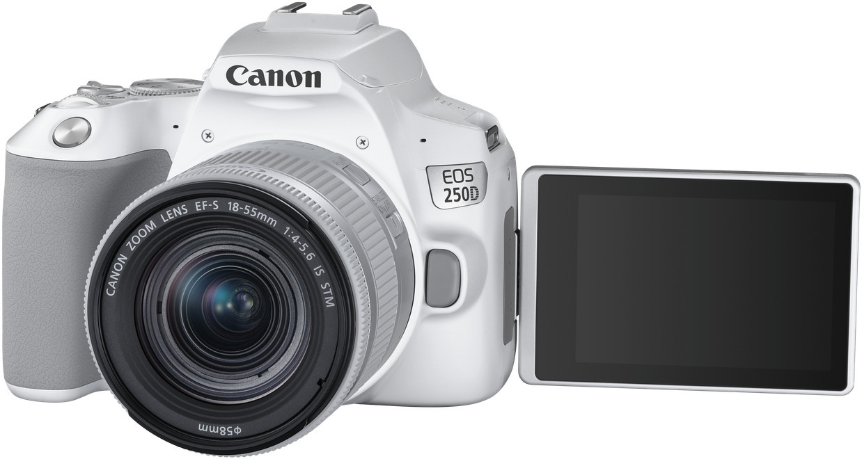 White Canon EOS 250D camera