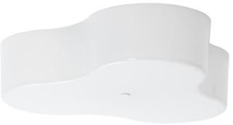 Plafond light fixture