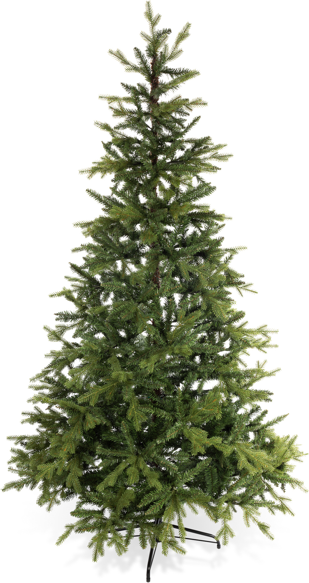 North Pine Christmas Tree